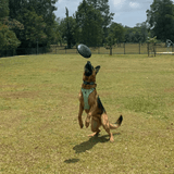 Magnum Bottle Top Flyer-Dog Toy-Rover Pet Products