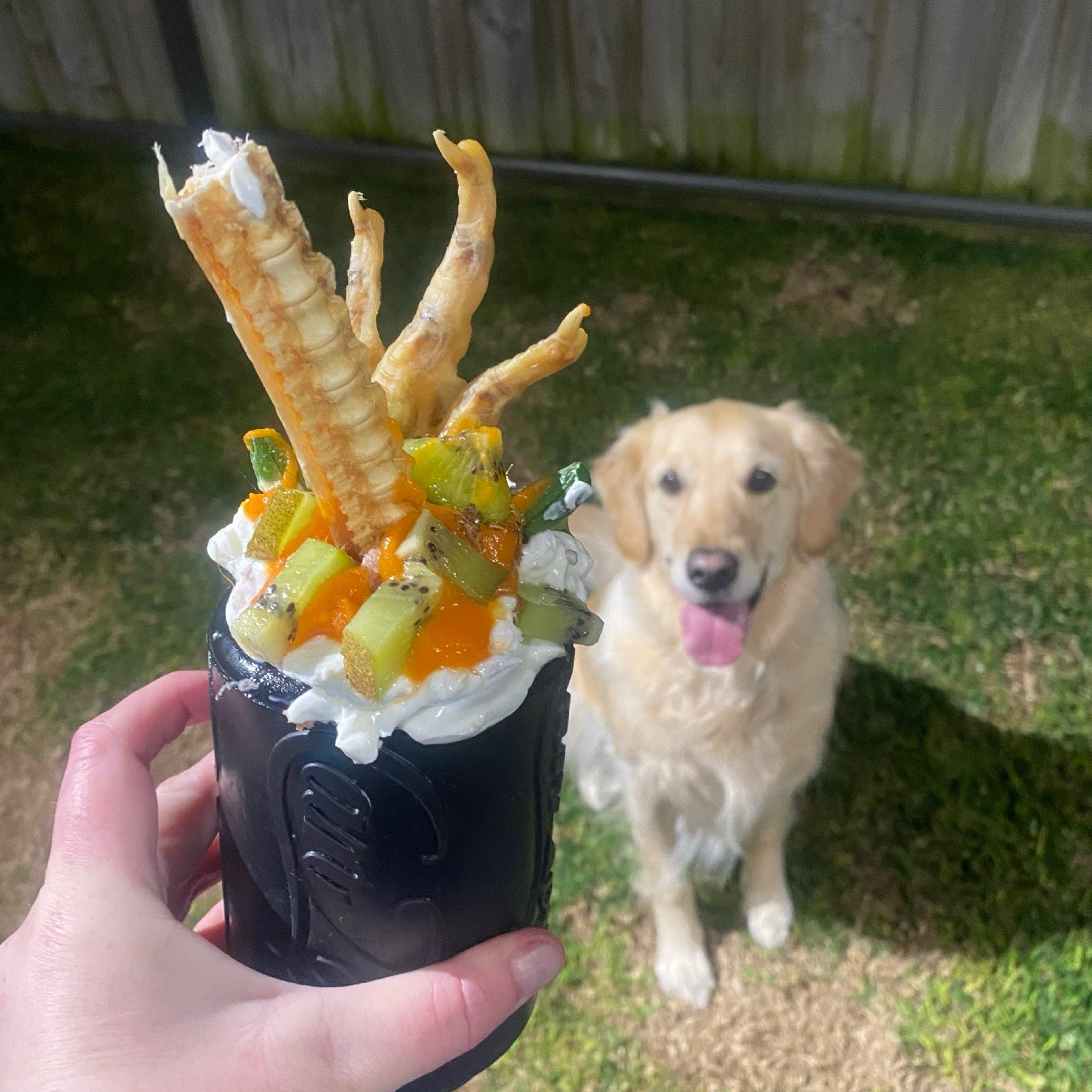 Magnum Can Toy (Power Chewers)-Dog Toy-Rover Pet Products