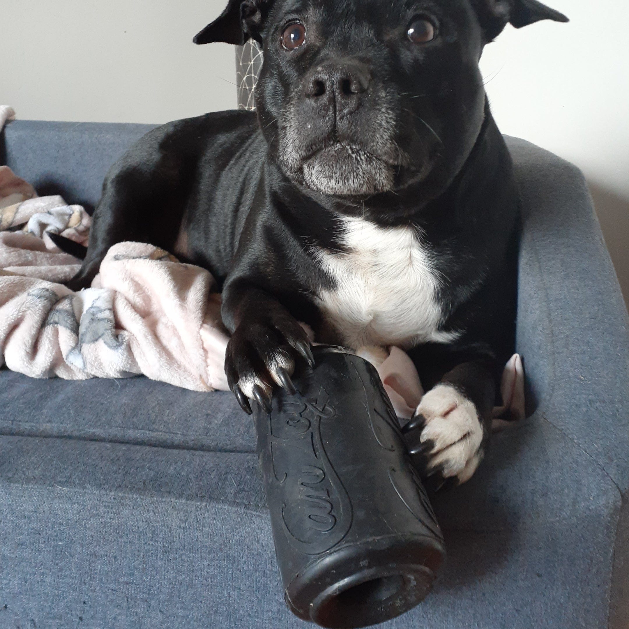 Magnum Can Toy (Power Chewers)-Dog Toy-Rover Pet Products