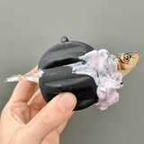 Magnum Gear-Dog Toy-Rover Pet Products