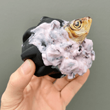 Magnum Gear-Dog Toy-Rover Pet Products