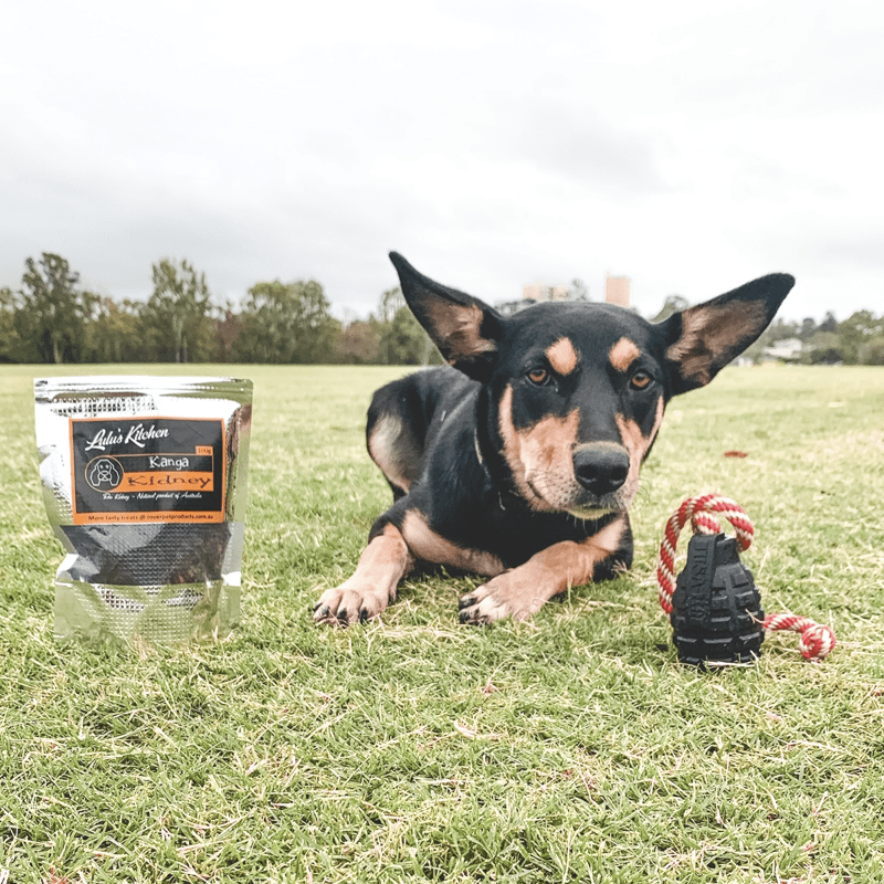 Magnum Grenade Reward Toy (Power Chewers)-Dog Toy-Rover Pet Products