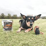 Magnum Grenade Reward Toy (Power Chewers)-Dog Toy-Rover Pet Products