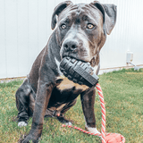 Magnum Grenade Reward Toy (Power Chewers)-Dog Toy-Rover Pet Products