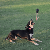 Magnum Grenade Reward Toy (Power Chewers)-Dog Toy-Rover Pet Products