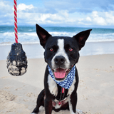 Magnum Grenade Reward Toy (Power Chewers)-Dog Toy-Rover Pet Products