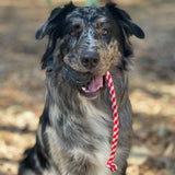 Magnum Stars & Stripes Ball Reward Toy-Dog Toy-Rover Pet Products