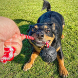 Magnum Stars & Stripes Ball Reward Toy-Dog Toy-Rover Pet Products