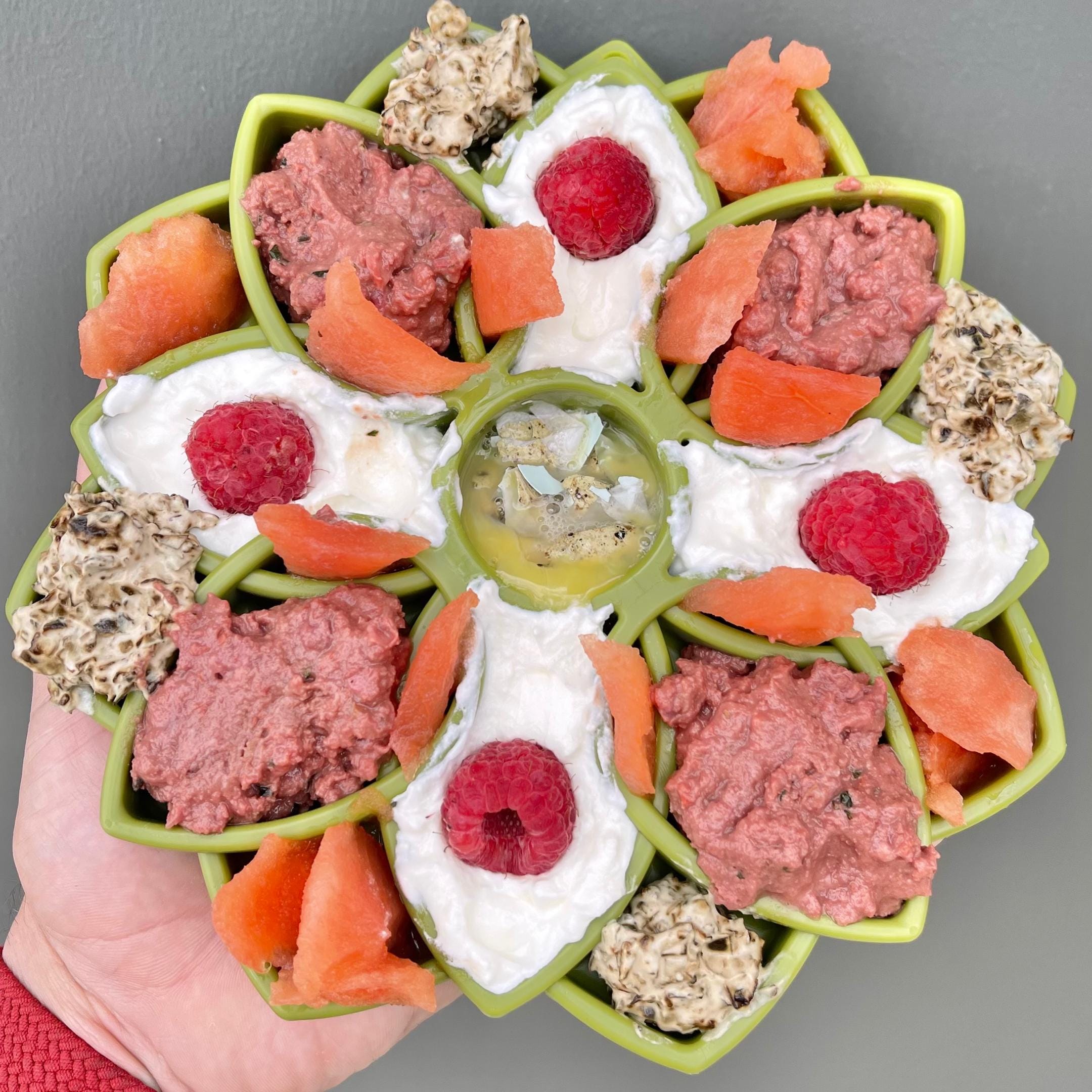 Mandala eTray Slowfeeder eTray-Slow Feeder-Rover Pet Products