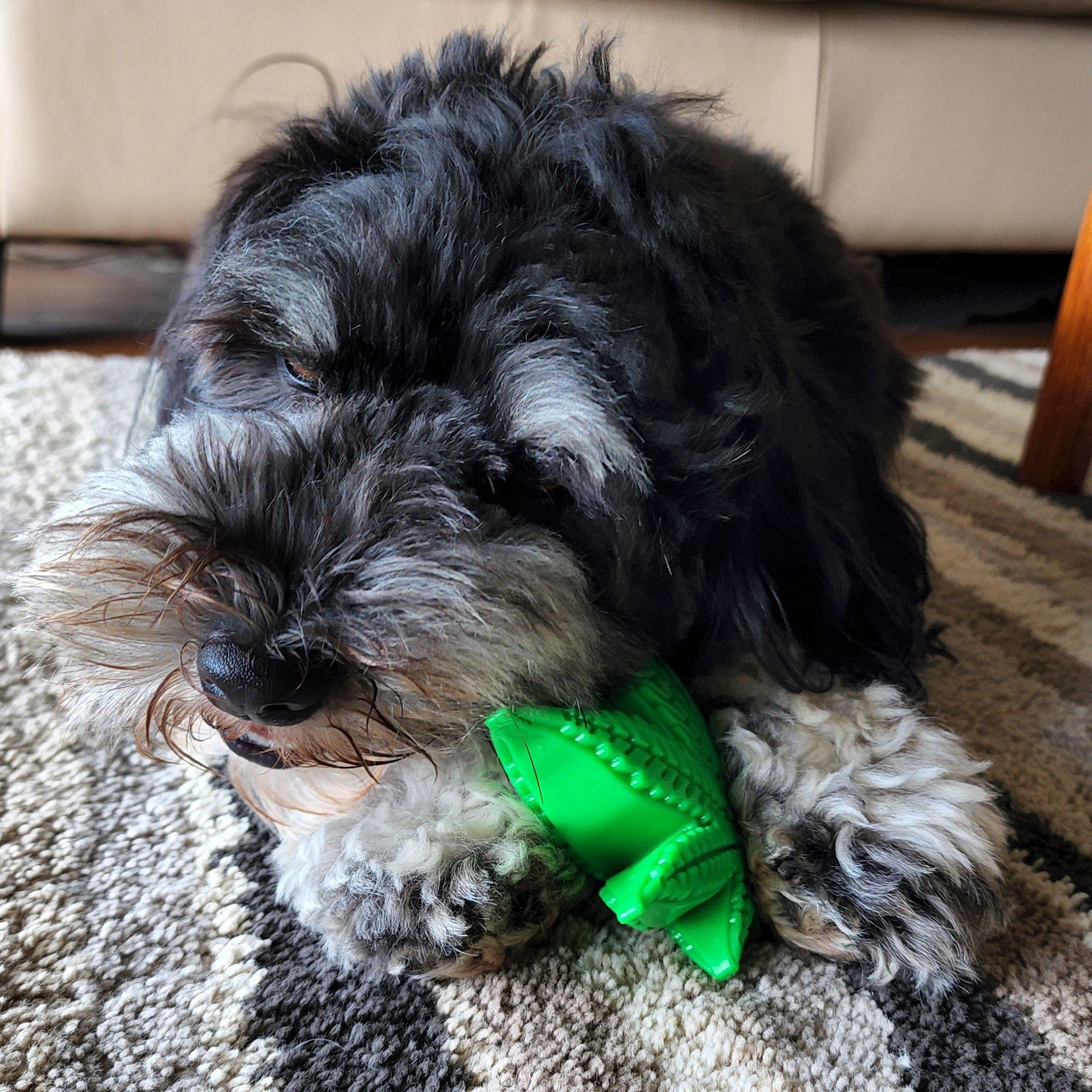 Maple Leaf-Dog Toy-Rover Pet Products