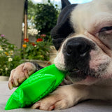 Maple Leaf-Dog Toy-Rover Pet Products