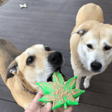 Maple Leaf-Dog Toy-Rover Pet Products