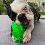 Maple Leaf-Dog Toy-Rover Pet Products