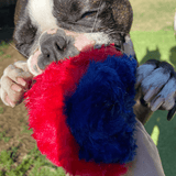 Nuggle Ball-Rover Pet Products