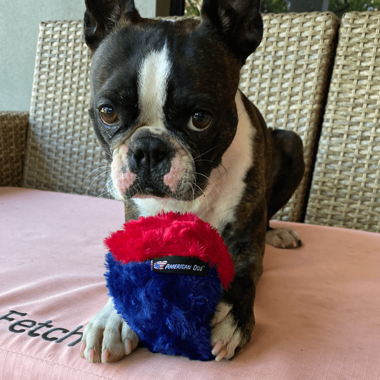 Nuggle Ball-Rover Pet Products