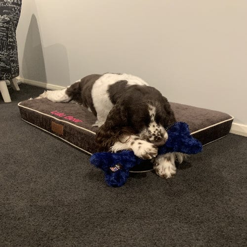 Nuggle Bones-Unclassified-Rover Pet Products