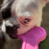 Nylon Bone-Unclassified-Rover Pet Products