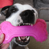 Nylon Bone-Unclassified-Rover Pet Products