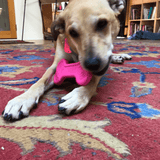 Nylon Bone-Unclassified-Rover Pet Products