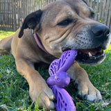 Nylon Butterfly-Unclassified-Rover Pet Products