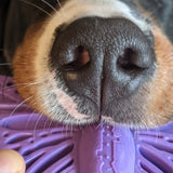 Nylon Butterfly-Unclassified-Rover Pet Products