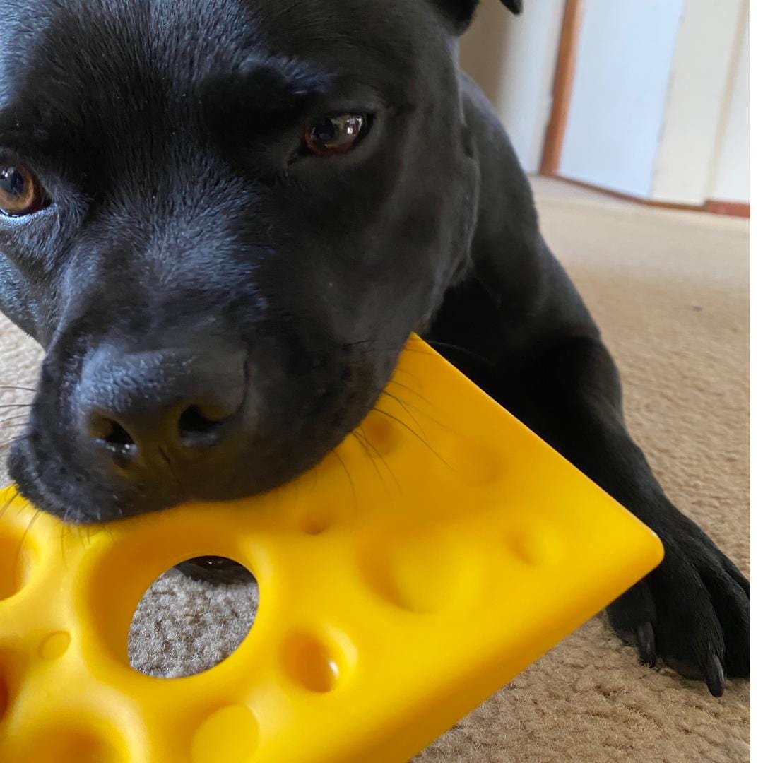 Nylon Cheese (Power Chewers)-Chew Toy-Rover Pet Products