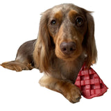 Nylon Cherry Pie-Dog Toy-Rover Pet Products