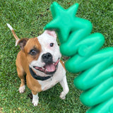 Nylon Christmas Tree-Dog Toy-Rover Pet Products