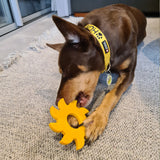 Nylon Circular Saw-Dog Toy-Rover Pet Products