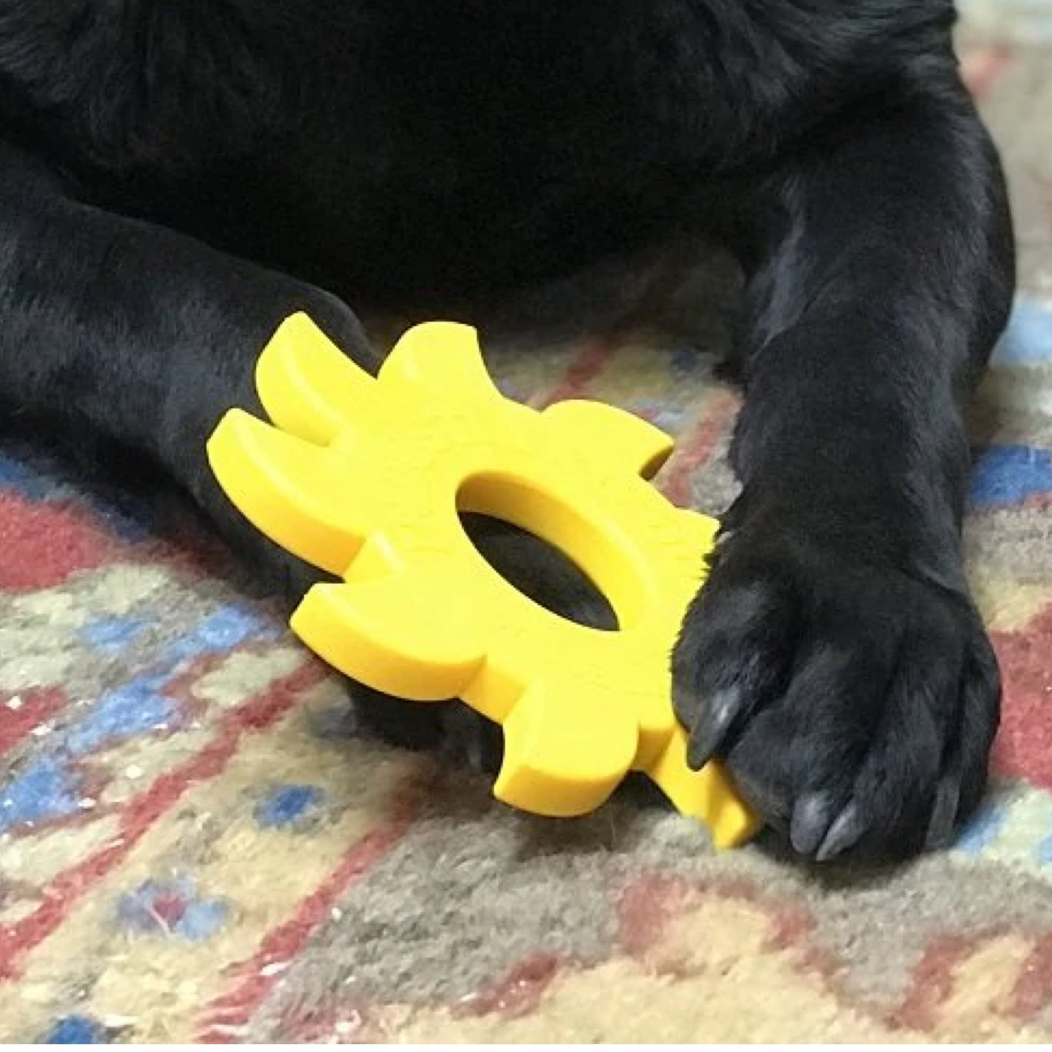 Nylon Circular Saw-Dog Toy-Rover Pet Products