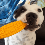 Nylon Corn On The Cob-Chew Toy-Rover Pet Products