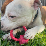 Nylon Diamond Teeth Ring-Dog Toy-Rover Pet Products