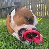 Nylon Diamond Teeth Ring-Dog Toy-Rover Pet Products