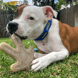 Nylon Gingerbread Man-Dog Toy-Rover Pet Products