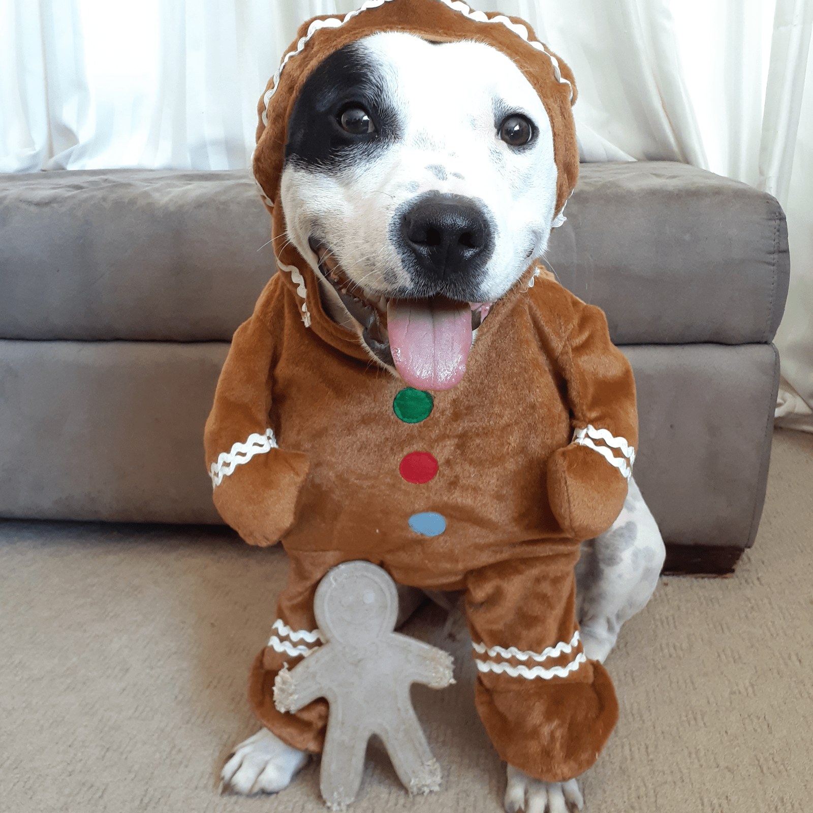 Nylon Gingerbread Man-Dog Toy-Rover Pet Products