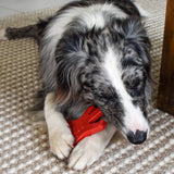 Nylon Guitar-Dog Toy-Rover Pet Products