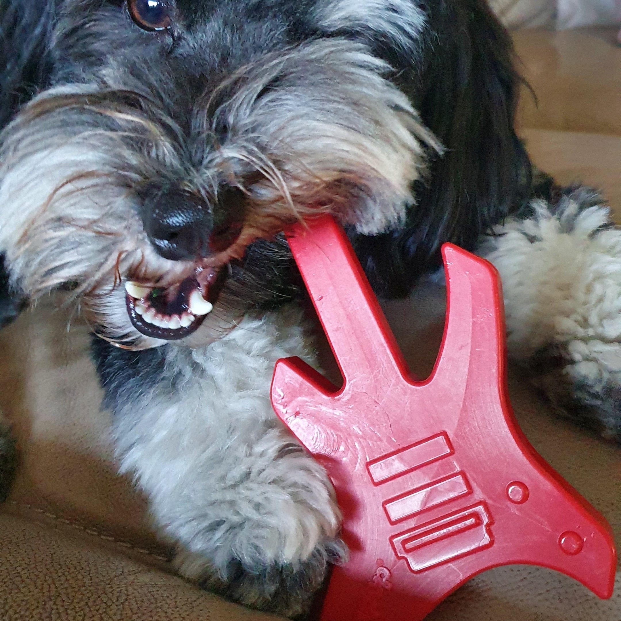 Nylon Guitar-Dog Toy-Rover Pet Products