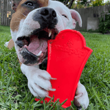 Nylon Headstone-Dog Toy-Rover Pet Products