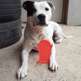 Nylon Headstone-Dog Toy-Rover Pet Products