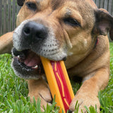 Nylon Hot Dog-Dog Toy-Rover Pet Products