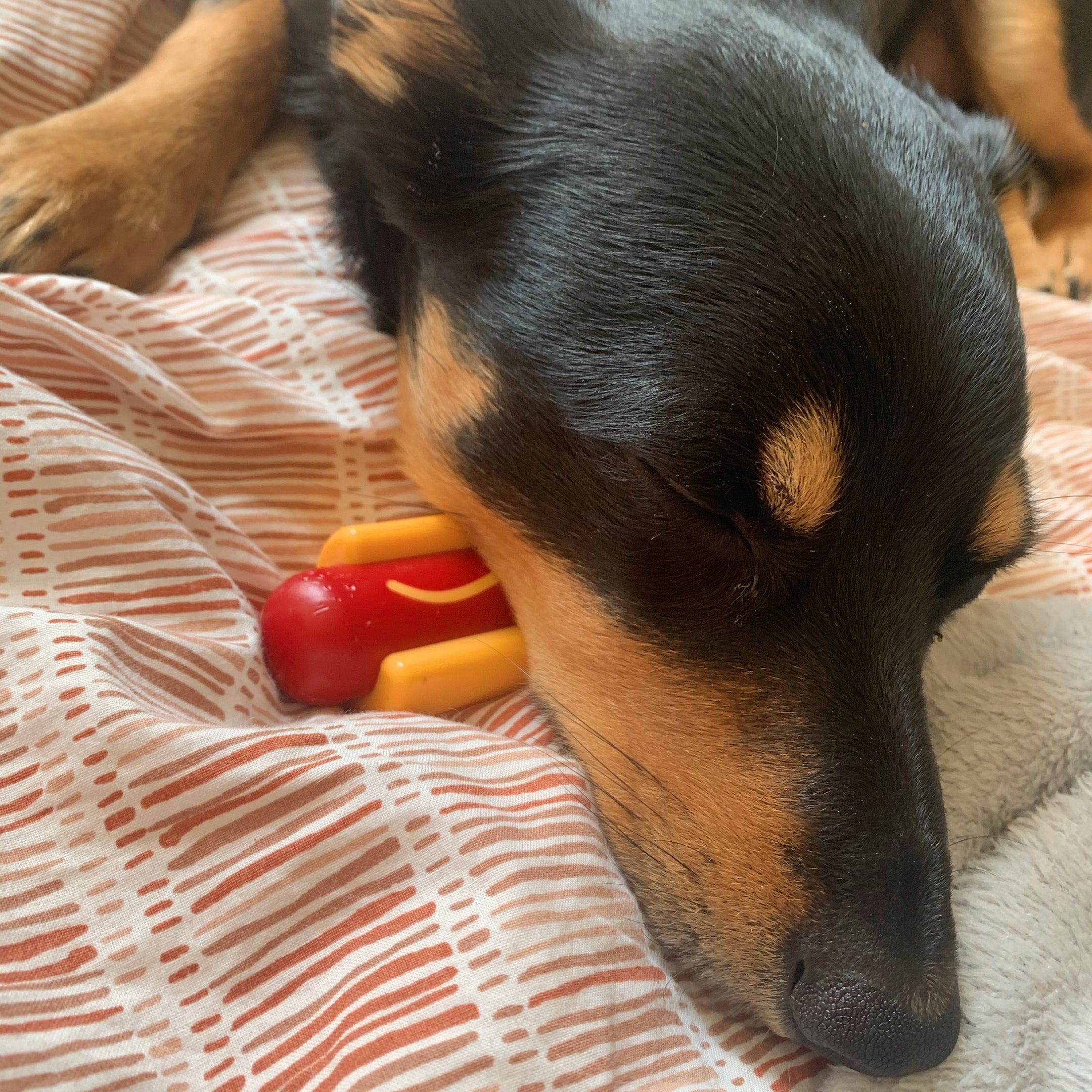 Nylon Hot Dog-Dog Toy-Rover Pet Products