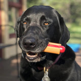 Nylon Hot Dog-Dog Toy-Rover Pet Products