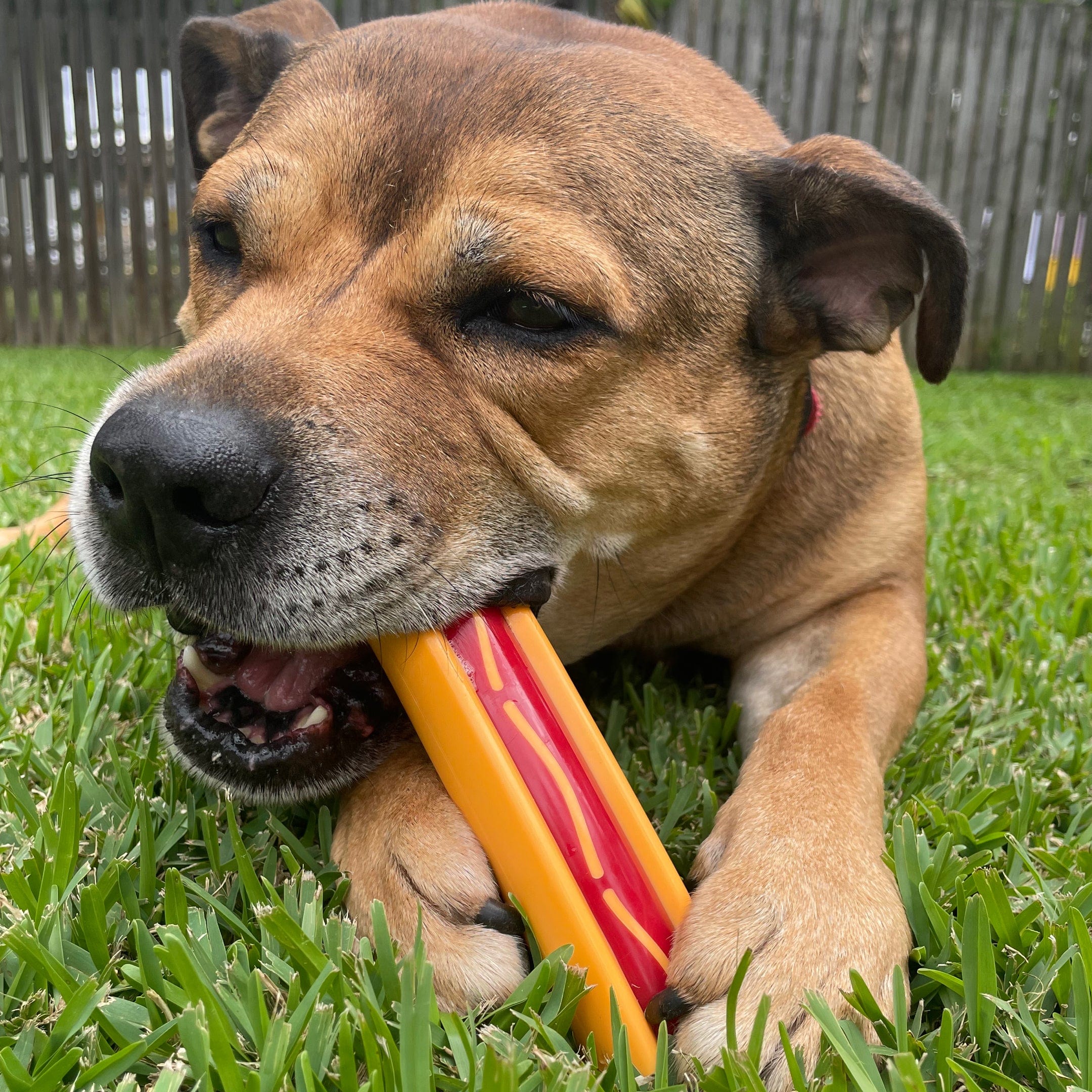 Nylon Hot Dog-Dog Toy-Rover Pet Products