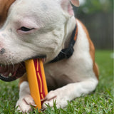 Nylon Hot Dog-Dog Toy-Rover Pet Products
