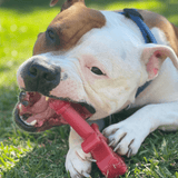 Nylon Key To My Heart-Dog Toy-Rover Pet Products