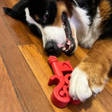 Nylon Key To My Heart-Dog Toy-Rover Pet Products