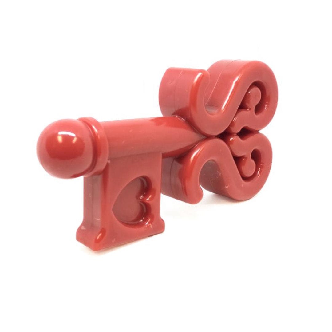 Nylon Key To My Heart-Dog Toy-Rover Pet Products