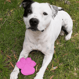 Nylon Paw (Power Chewers)-Chew Toy-Rover Pet Products