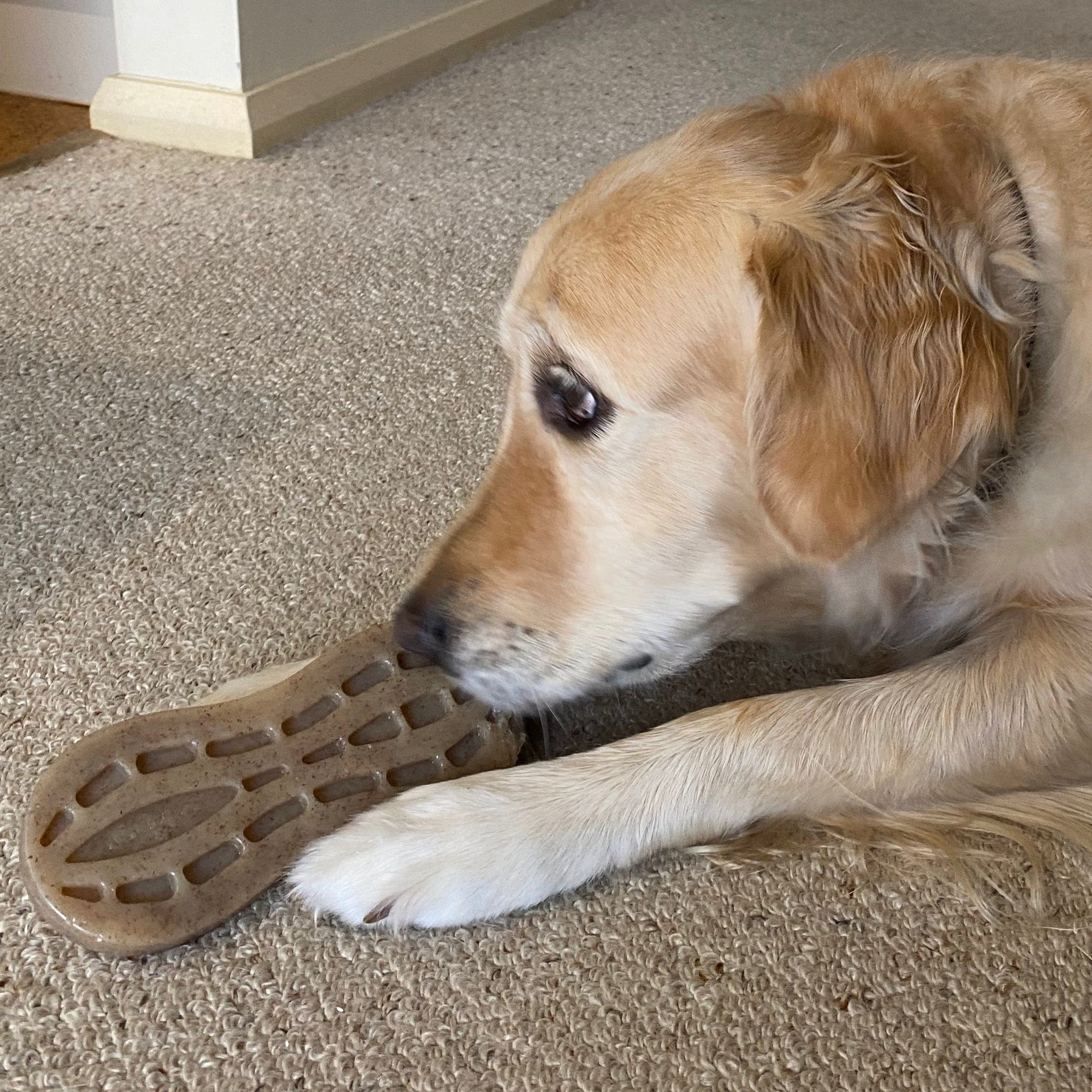 Nylon Peanut-Unclassified-Rover Pet Products