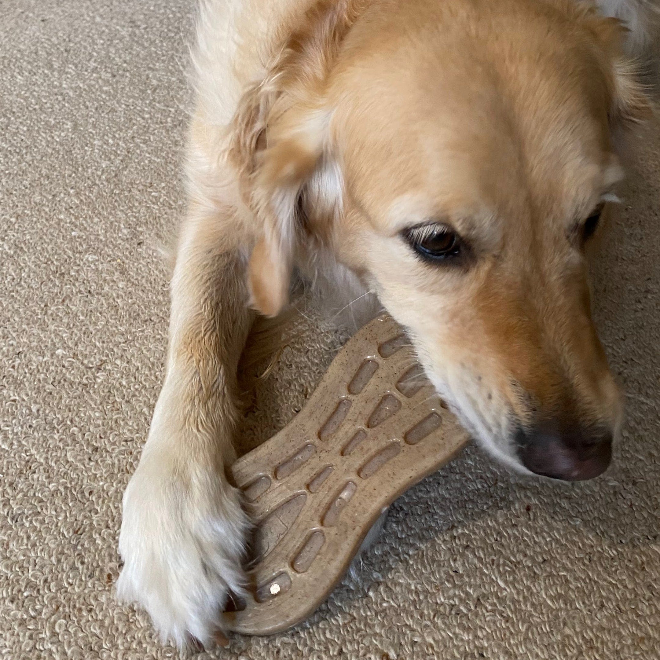 Nylon Peanut-Unclassified-Rover Pet Products